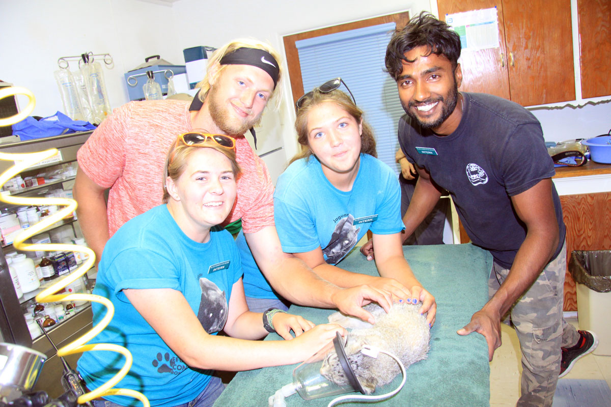 interns